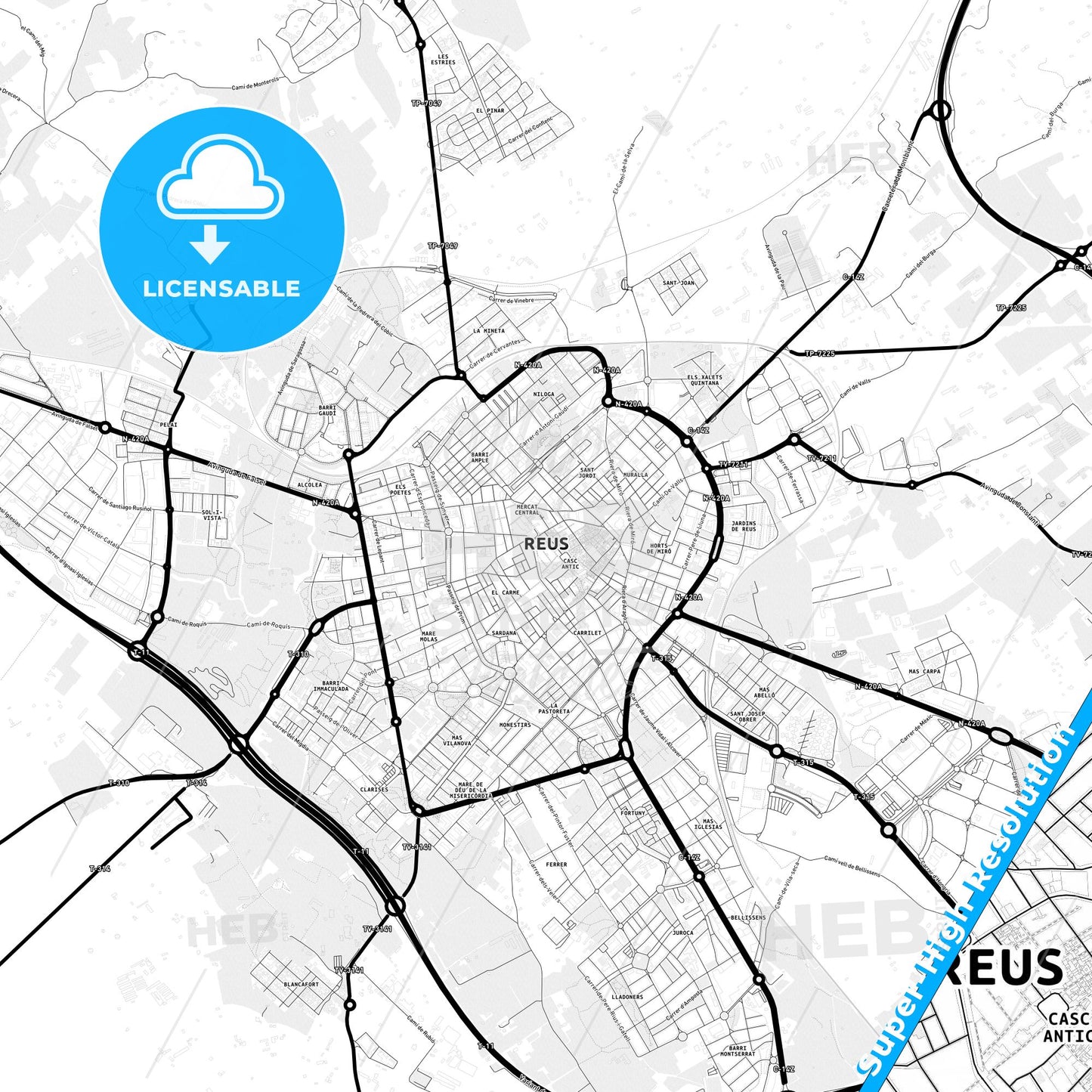 Reus, Spain Light Map with Street Names, City Names, and Districts