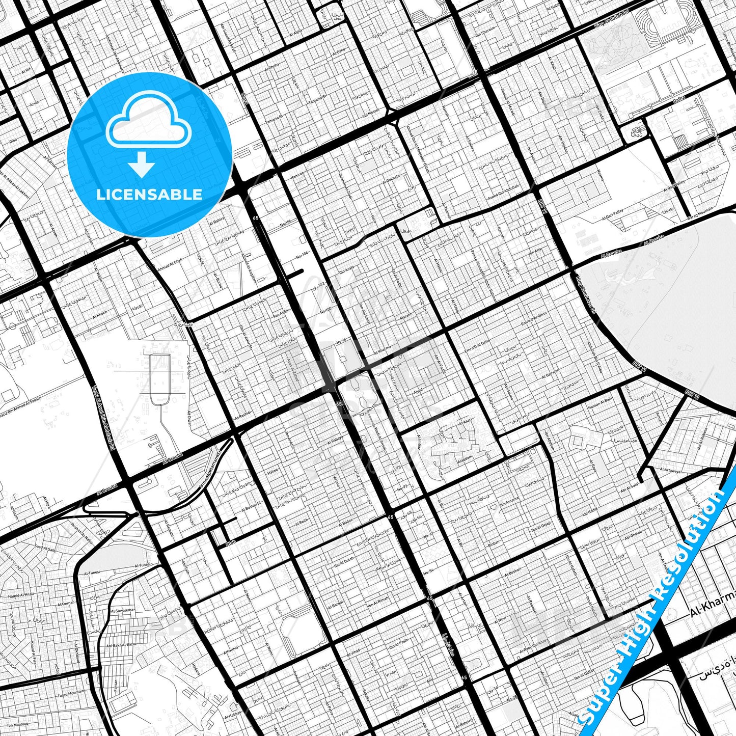 Riyadh, Saudi Arabia Light Map with Street Names, City Names, and Districts