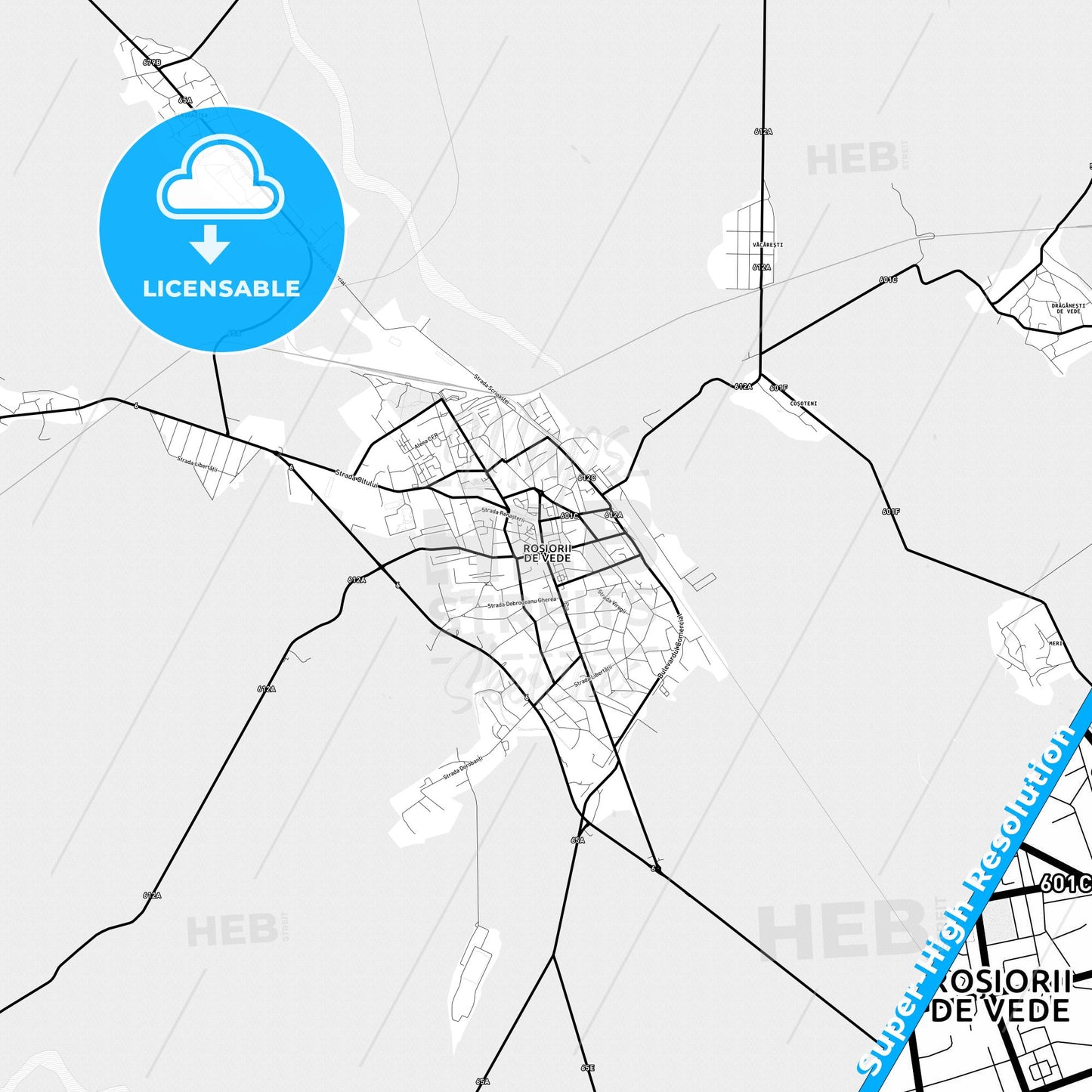 Roșiorii de Vede, Romania Light Map with Street Names, City Names, and Districts