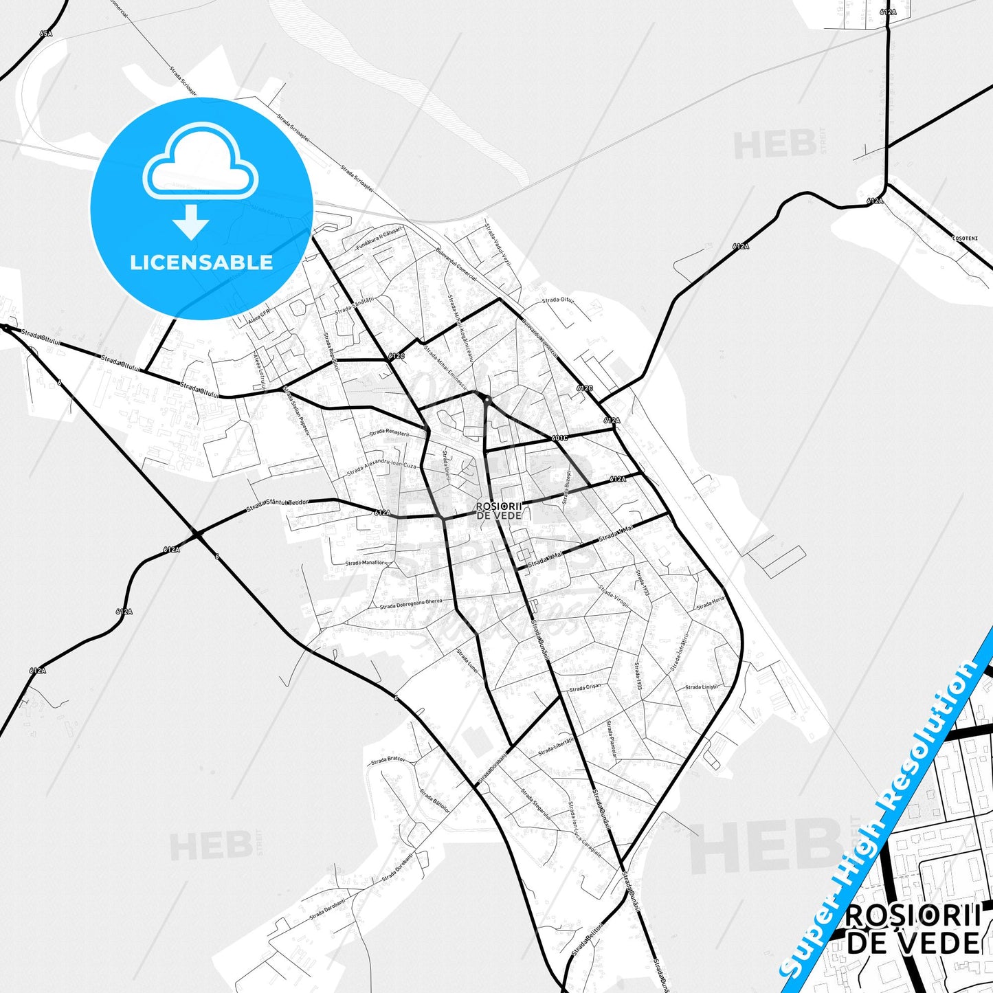Roșiorii de Vede, Romania Light Map with Street Names, City Names, and Districts