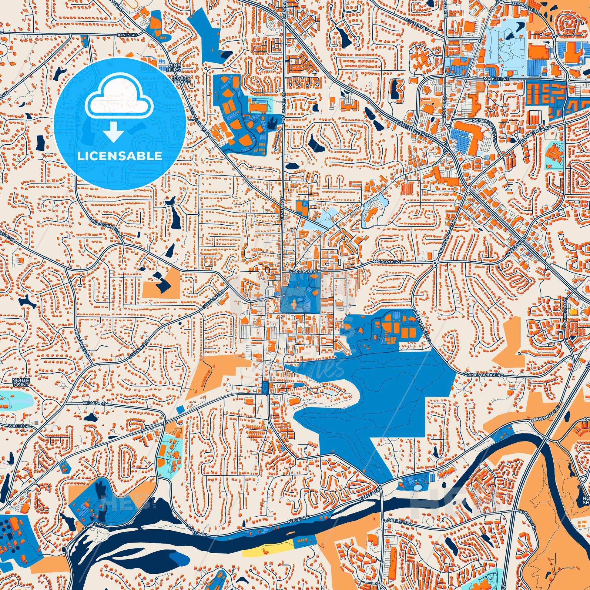 Colorful Roswell Street Map with Labels and Buildings