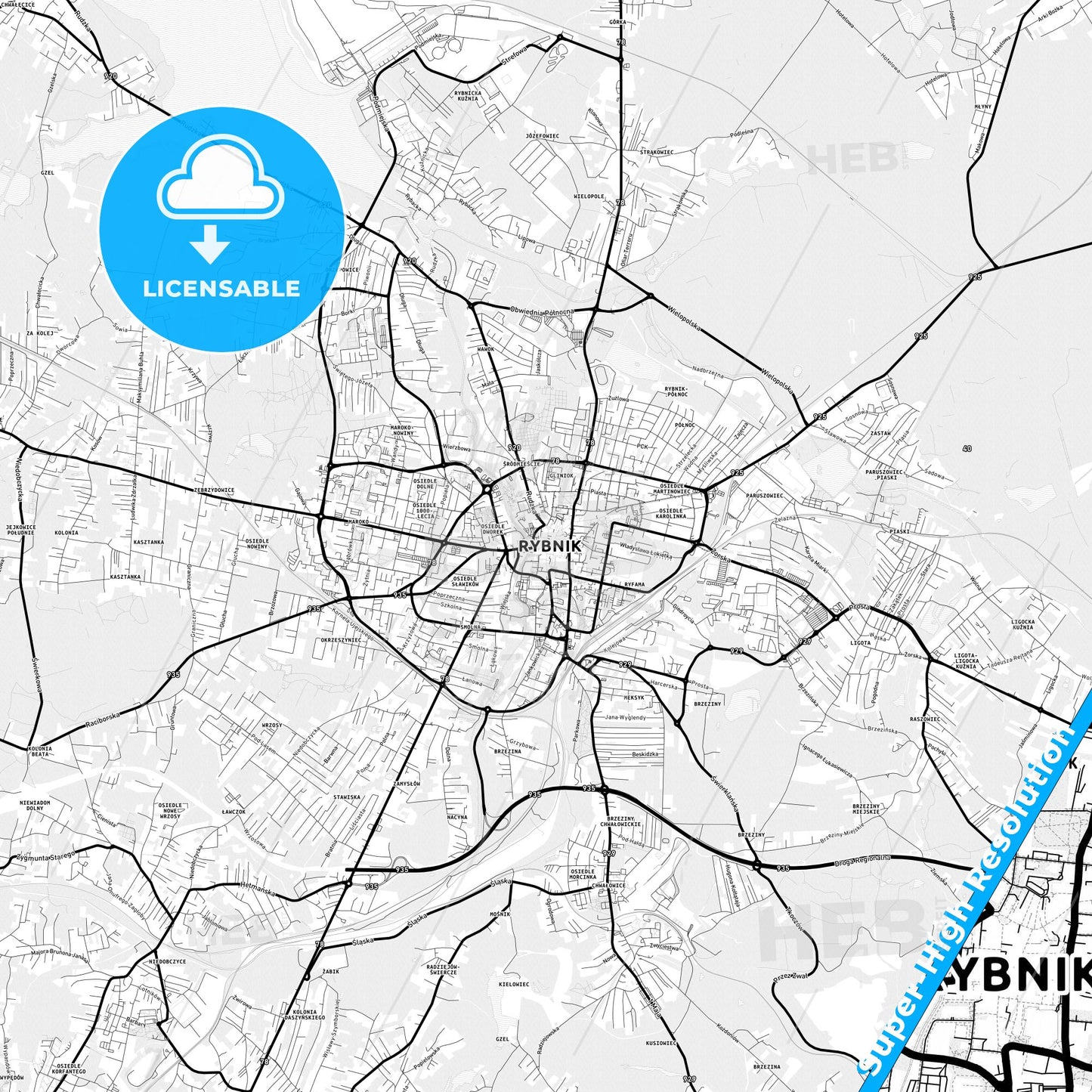 Rybnik, Poland Light Map with Street Names, City Names, and Districts