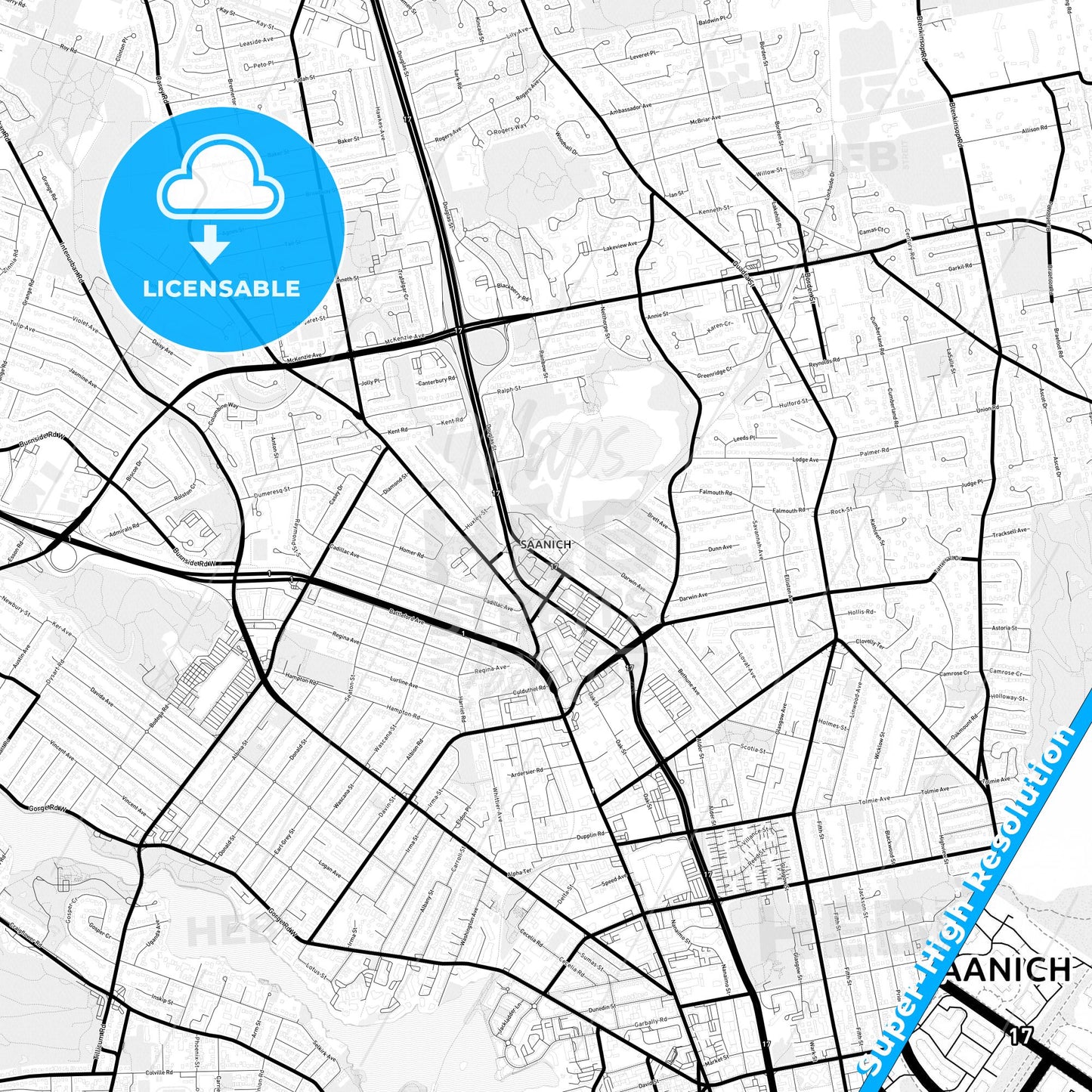 Saanich, Canada Light Map with Street Names, City Names, and Districts