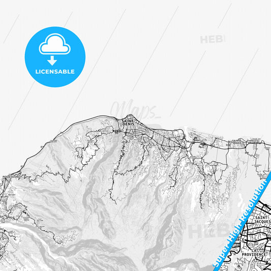 Saint-Denis, Reunion light map with streetnames, citynames and districts