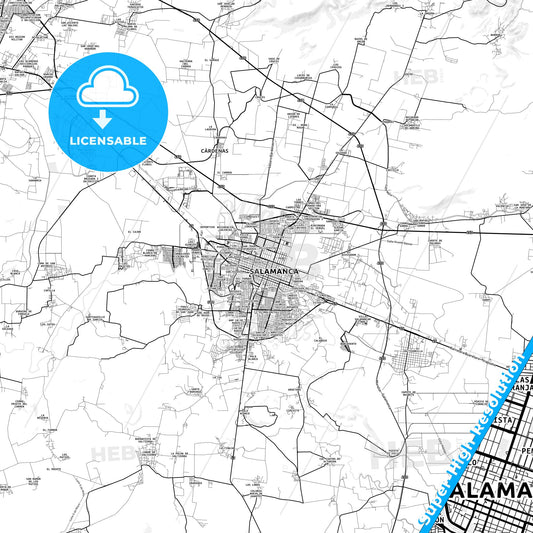 Salamanca, Mexico light map with streetnames, citynames and districts