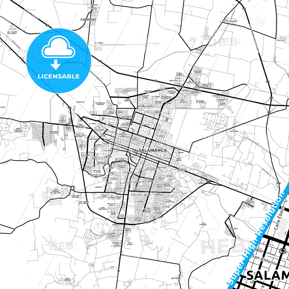 Salamanca, Mexico Light Map with Street Names, City Names, and Districts