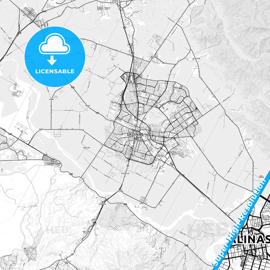 Salinas, California light map with streetnames, citynames and districts