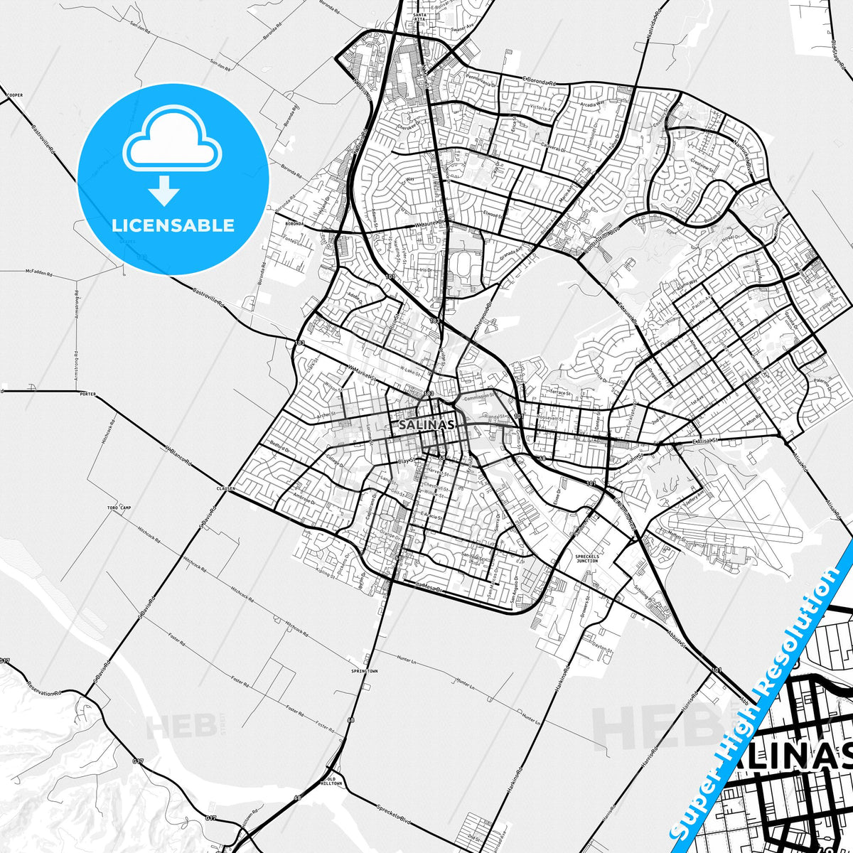 Salinas, California Light Map with Street Names, City Names, and Districts