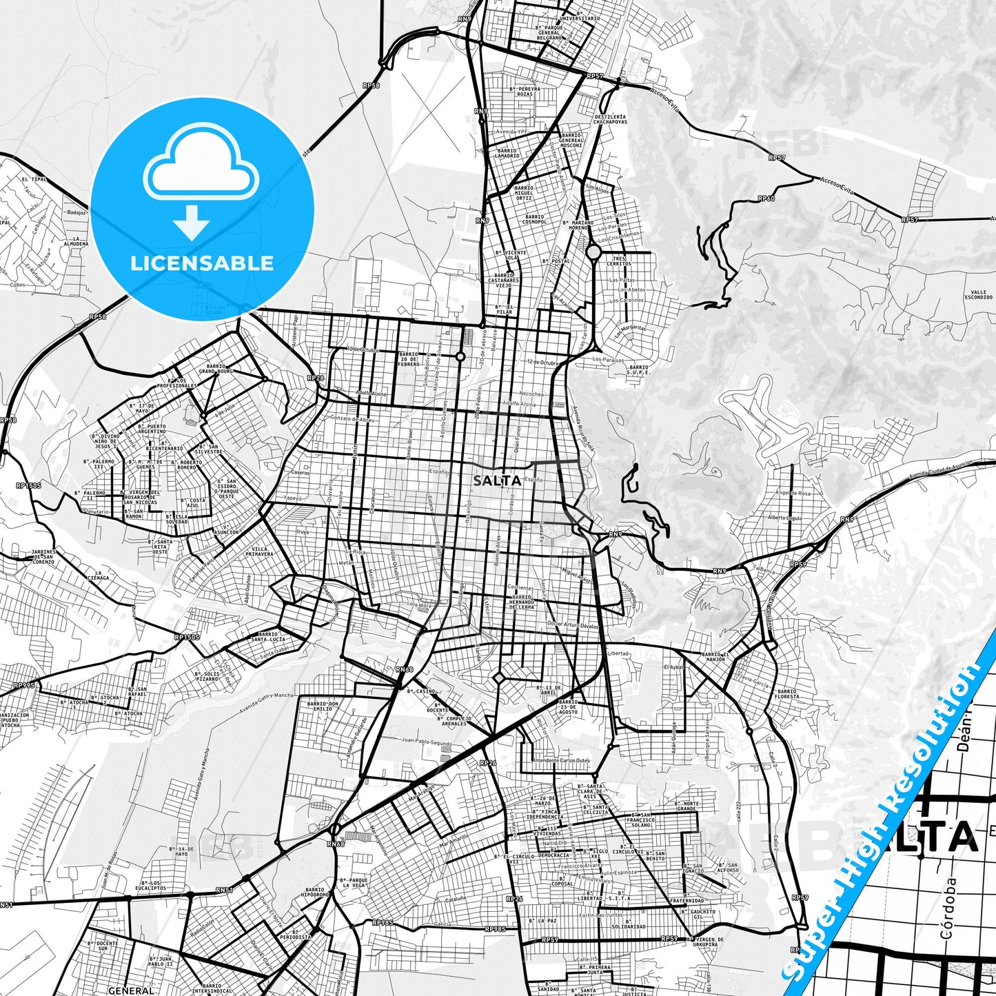 Salta, Argentina Light Map with Street Names, City Names, and Districts