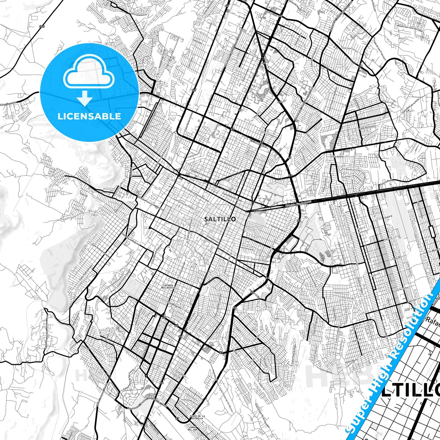 Saltillo, Mexico Light Map with Street Names, City Names, and Districts