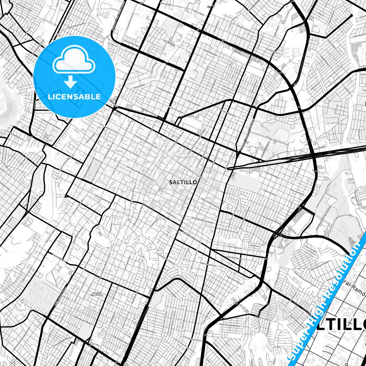 Saltillo, Mexico Light Map with Street Names, City Names, and Districts