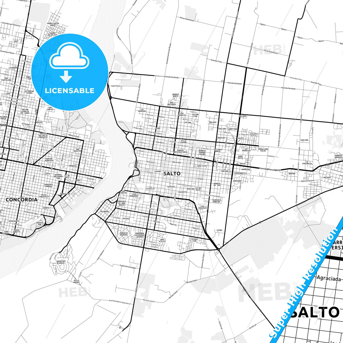 Salto, Uruguay Light Map with Street Names, City Names, and Districts