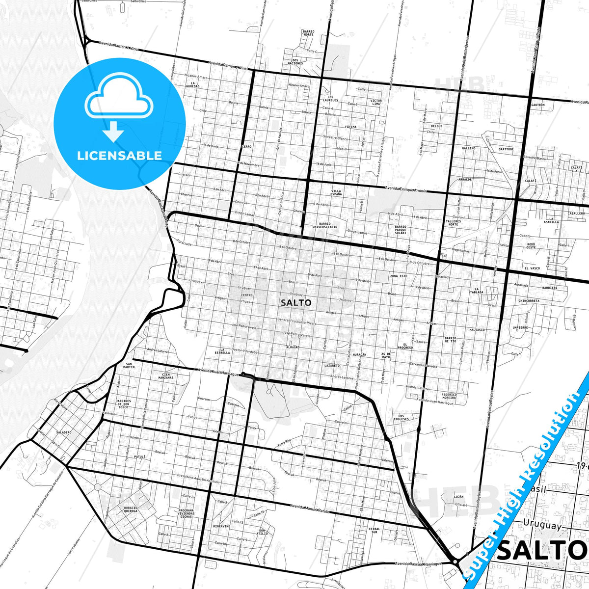 Salto, Uruguay Light Map with Street Names, City Names, and Districts