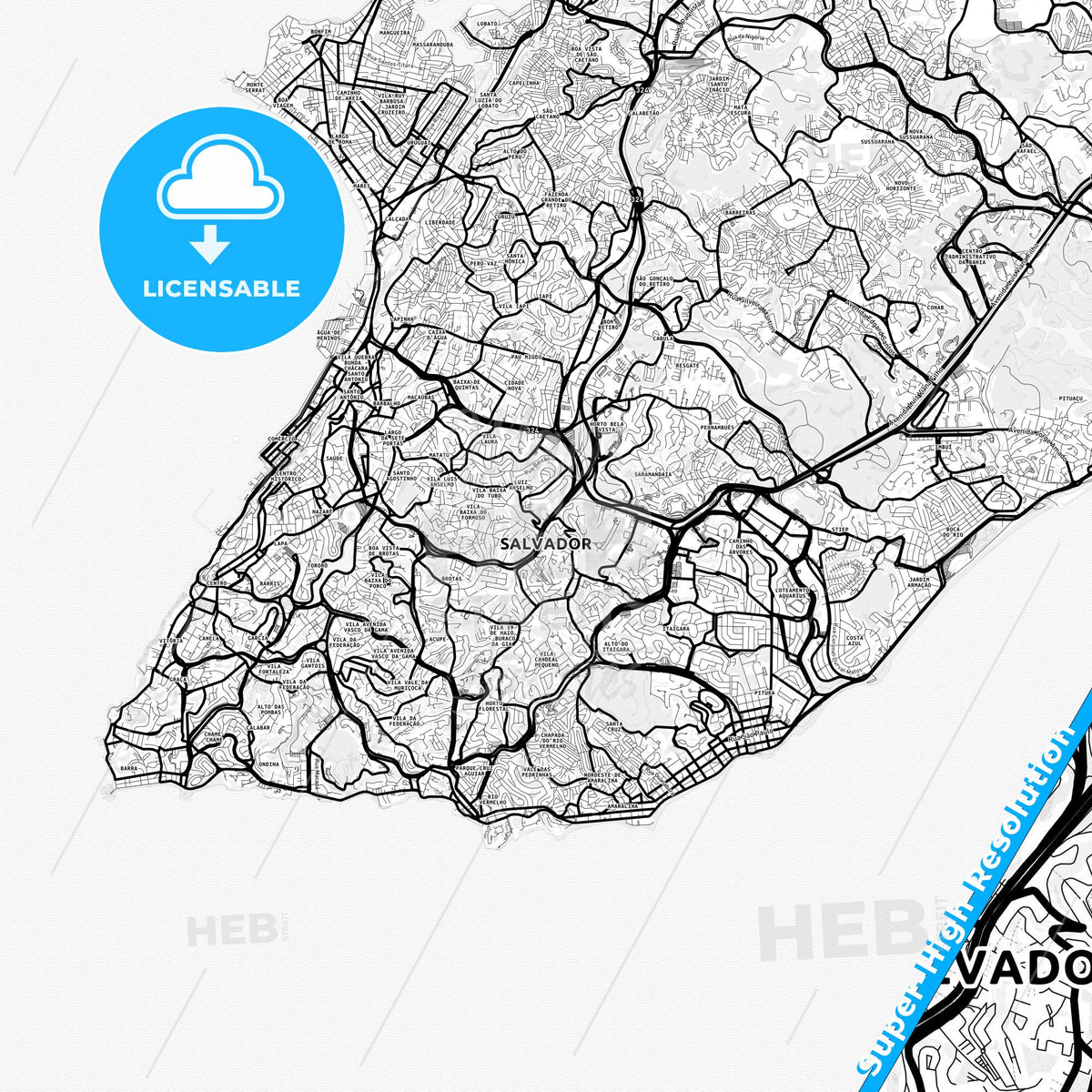 Salvador, Brazil Light Map with Street Names, City Names, and Districts
