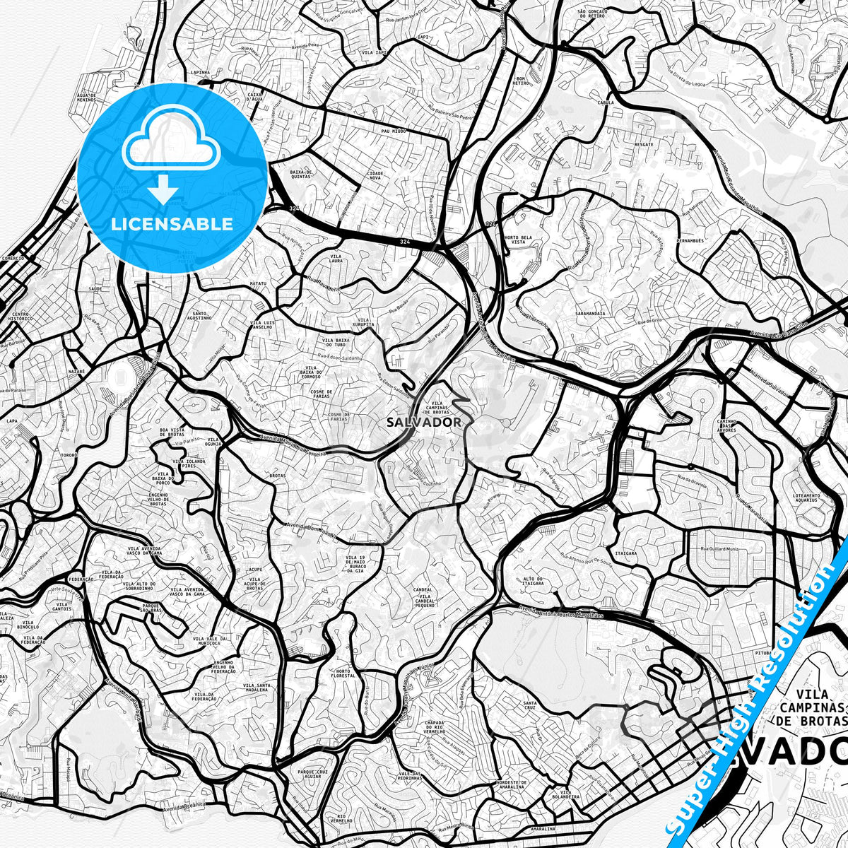 Salvador, Brazil Light Map with Street Names, City Names, and Districts