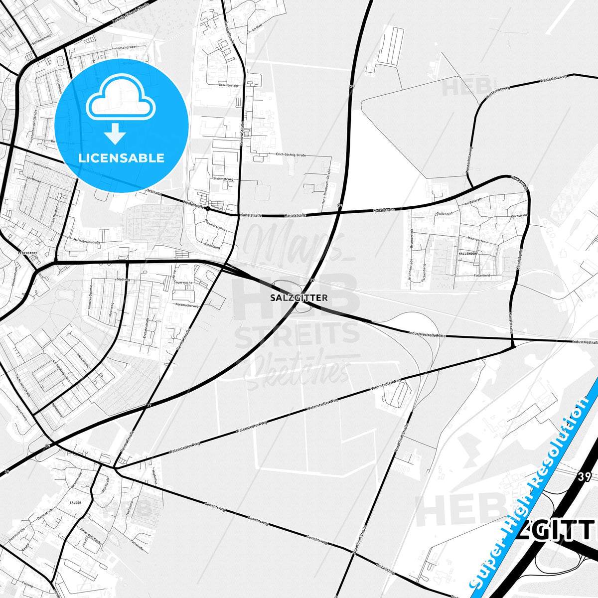 Salzgitter, Germany Light Map with Street Names, City Names, and Districts