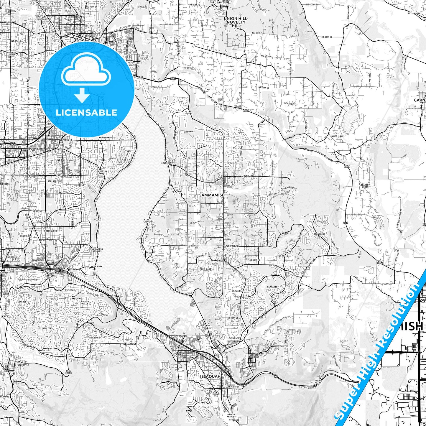 Sammamish, Washington light map with streetnames, citynames and districts