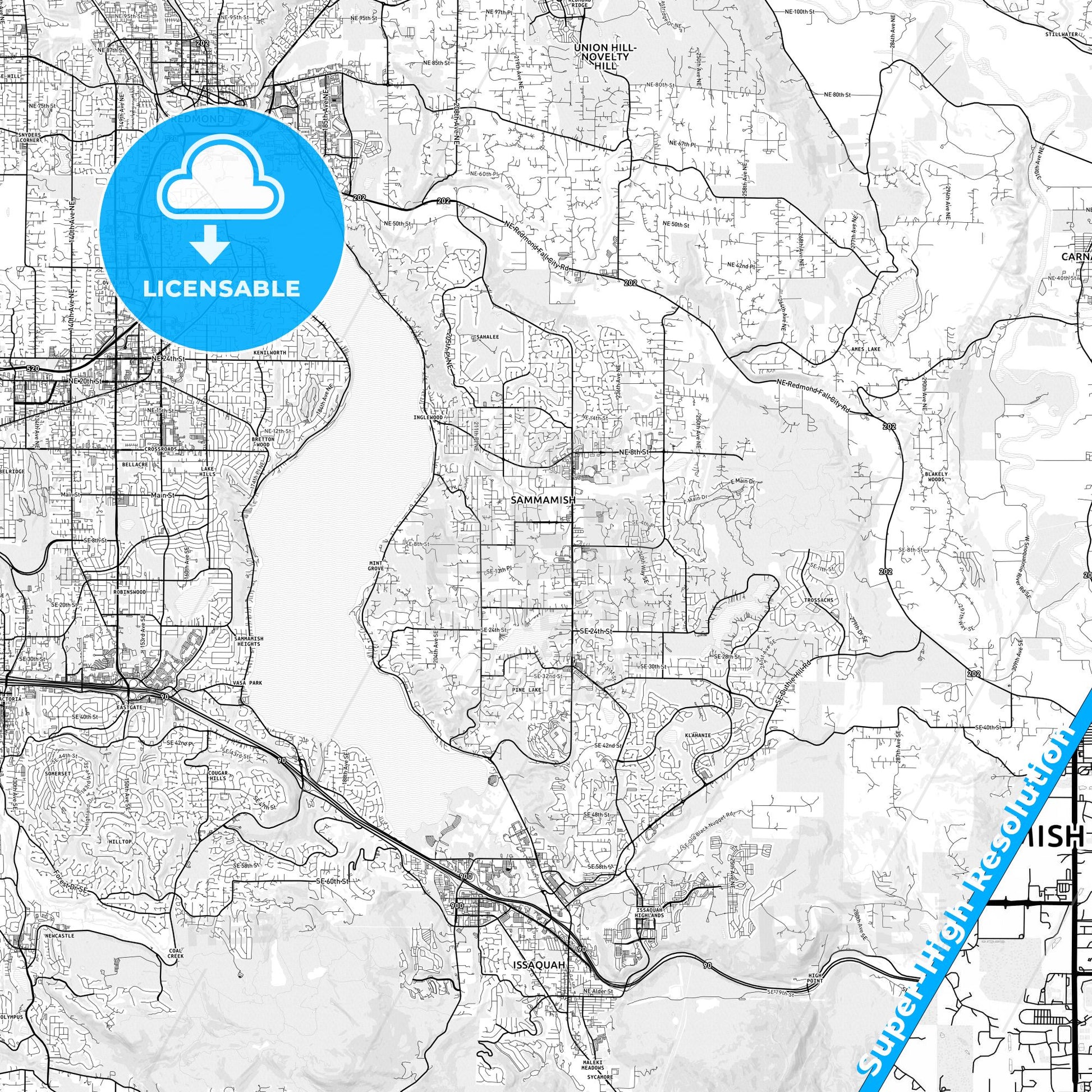 Sammamish, Washington light map with streetnames, citynames and districts