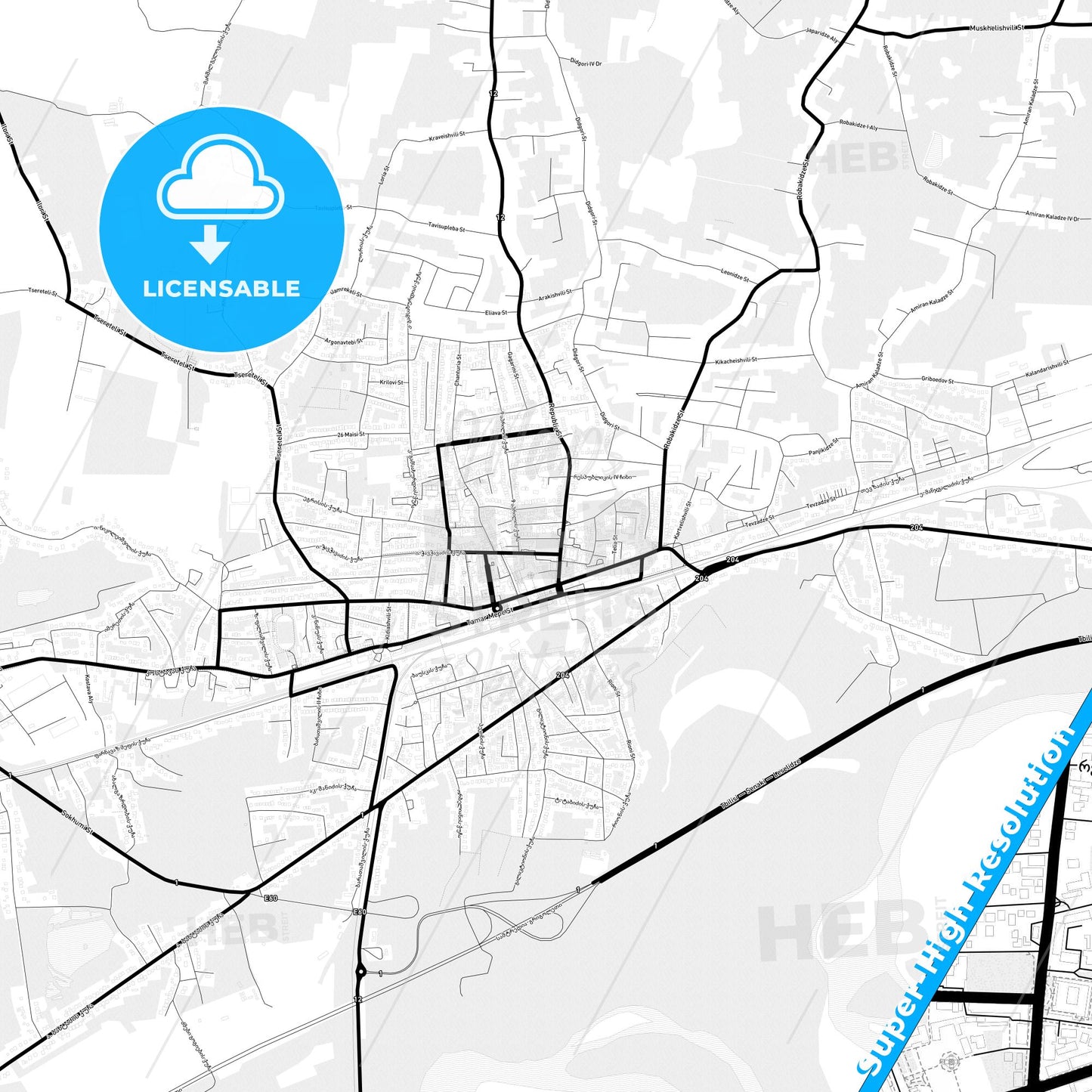 Samtredia, Georgia Light Map with Street Names, City Names, and Districts