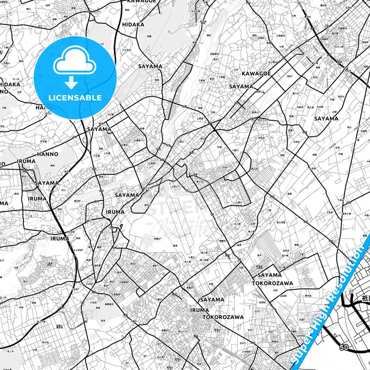 Sayama, Japan Light Map with Street Names, City Names, and Districts