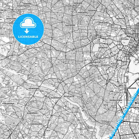 Setagaya, Japan light map with streetnames, citynames and districts