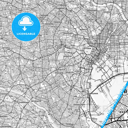 Shibuya, Japan light map with streetnames, citynames and districts
