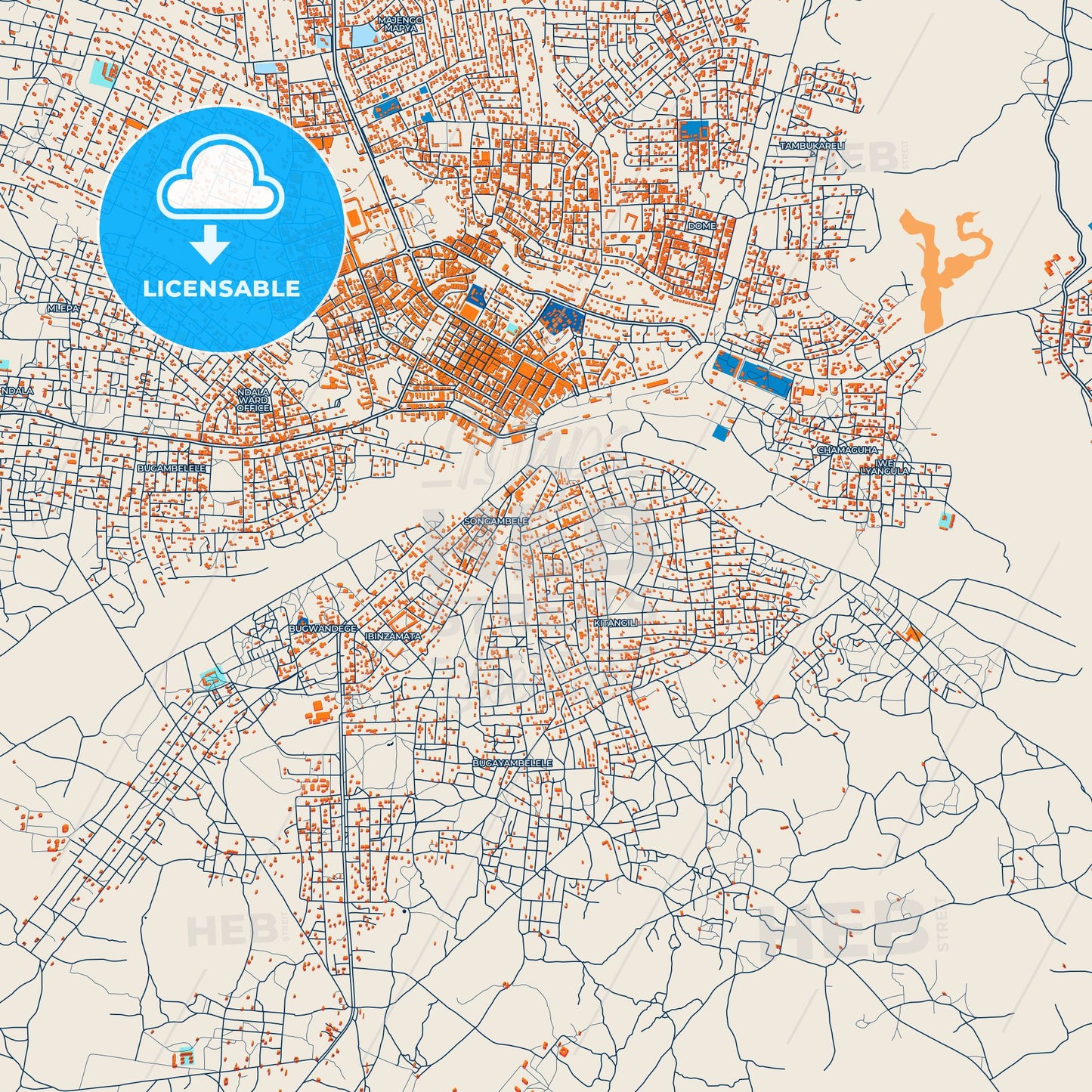 Colorful Shinyanga Street Map with Labels and Buildings