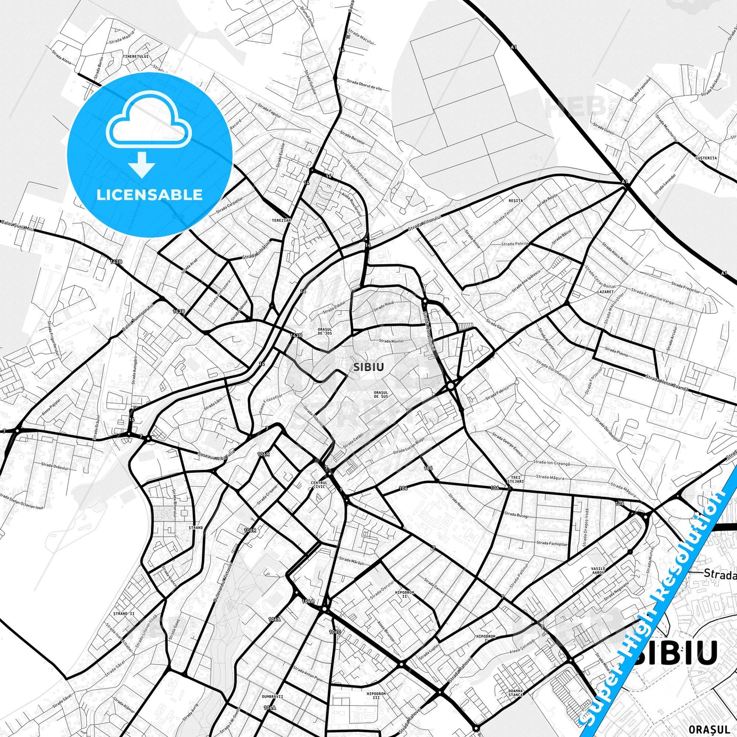 Sibiu, Romania Light Map with Street Names, City Names, and Districts
