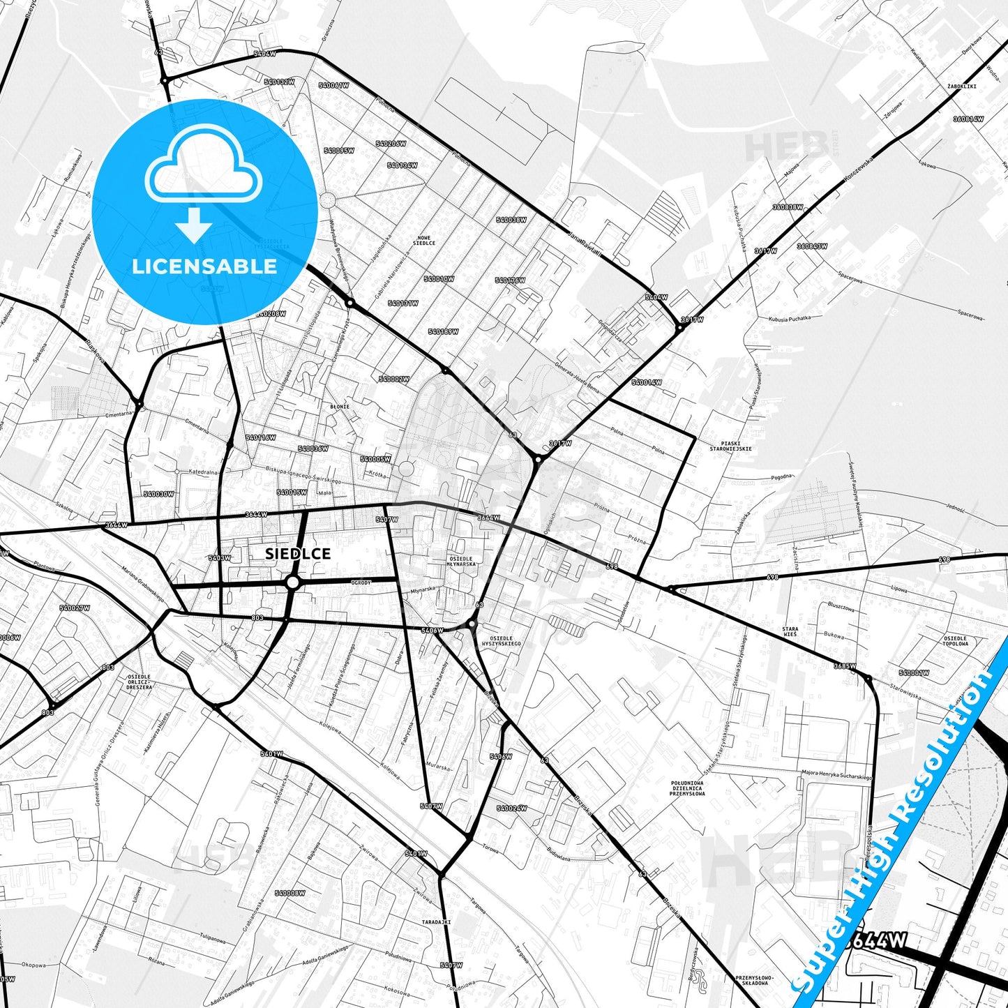 Siedlce, Poland Light Map with Street Names, City Names, and Districts