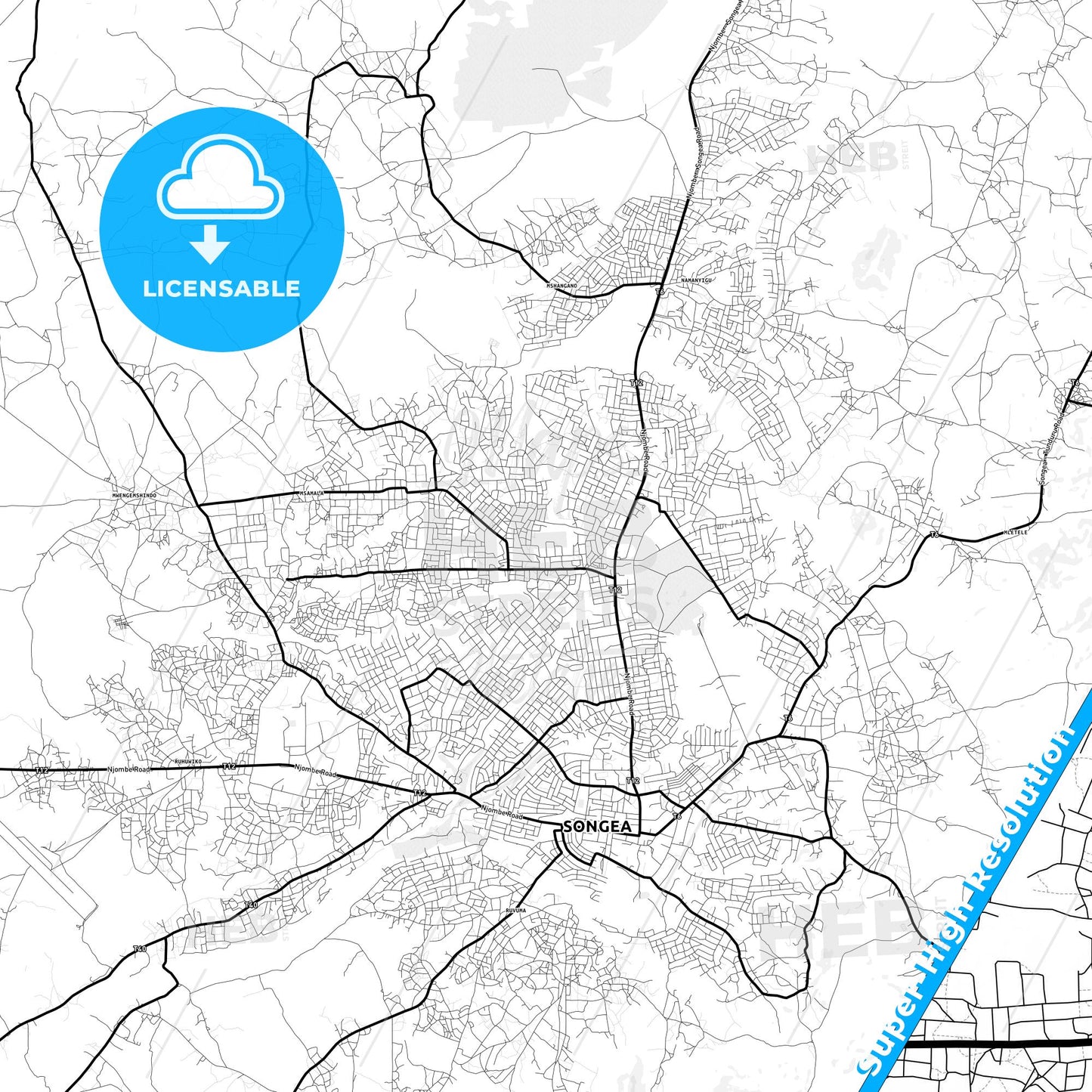 Songea, Tanzania Light Map with Street Names, City Names, and Districts