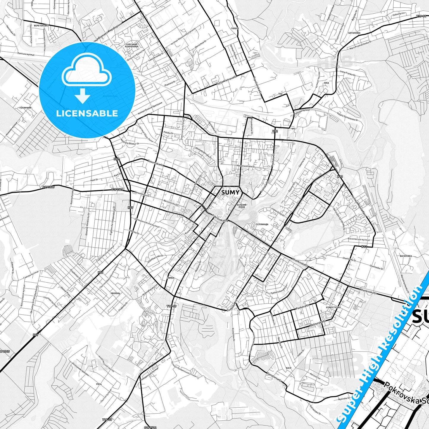 Sumy, Ukraine Light Map with Street Names, City Names, and Districts