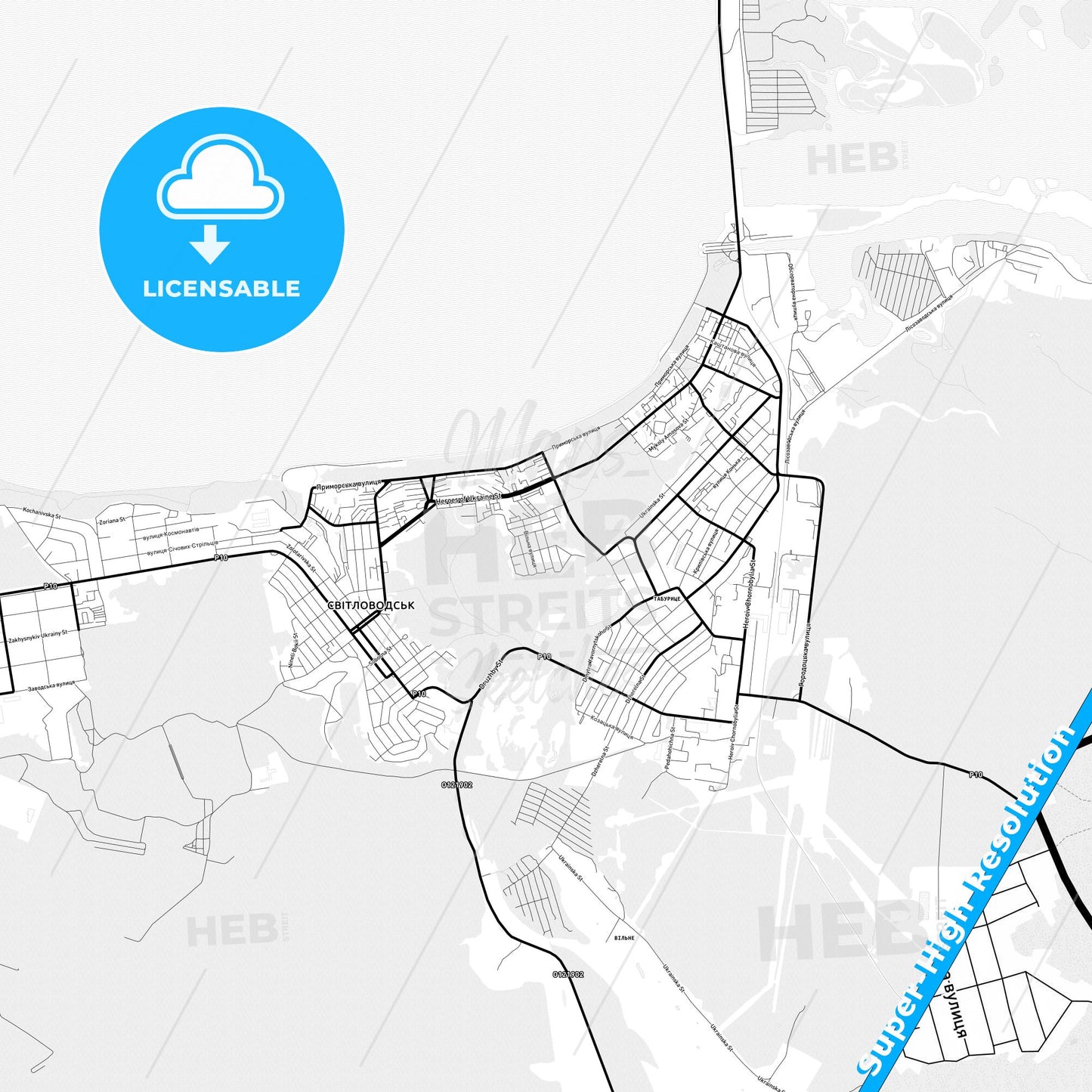 Svitlovodsk, Ukraine Light Map with Street Names, City Names, and Districts