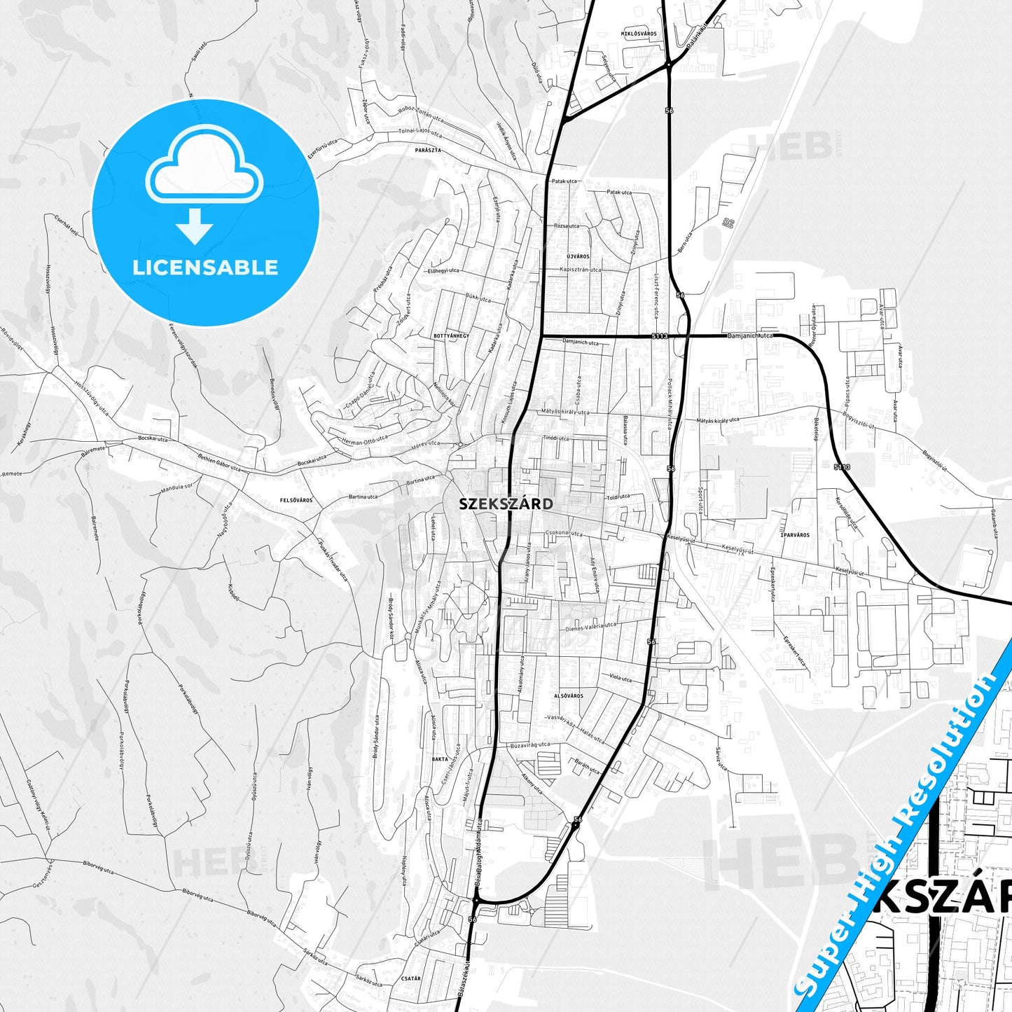 Szekszárd, Hungary Light Map with Street Names, City Names, and Districts