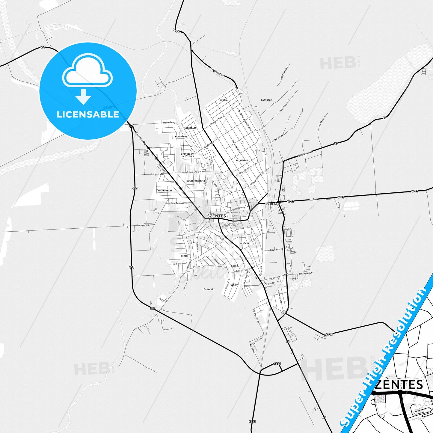 Szentes, Hungary Light Map with Street Names, City Names, and Districts