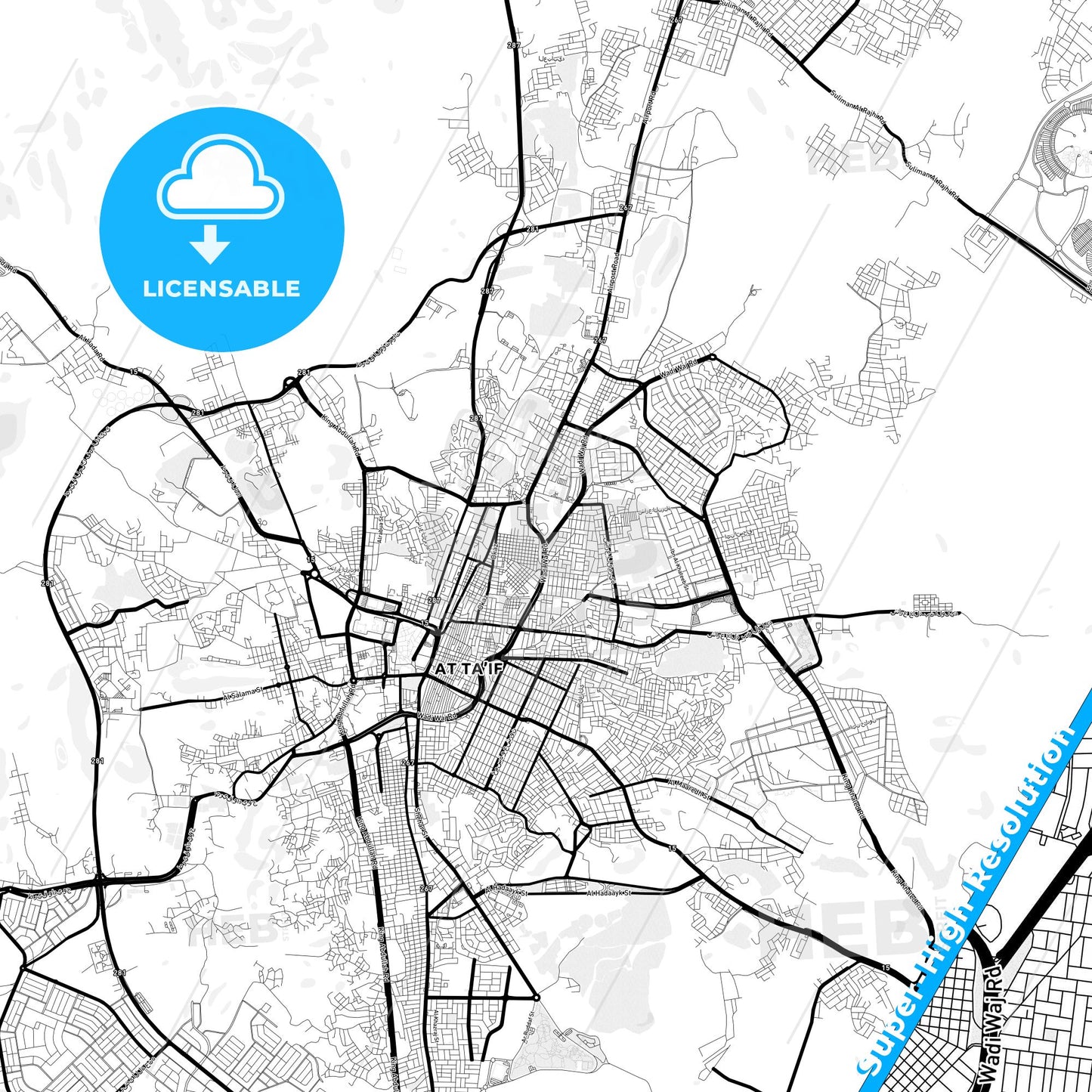 Taif, Saudi Arabia Light Map with Street Names, City Names, and Districts
