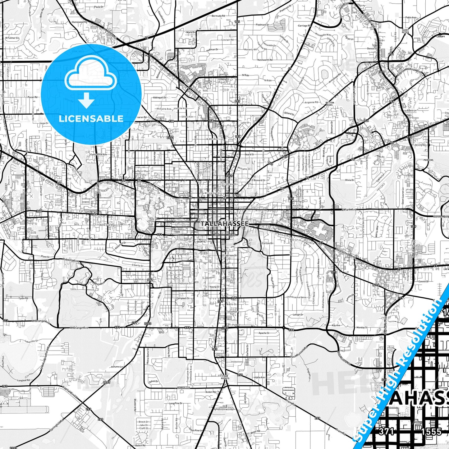 Tallahassee, Florida Light Map with Street Names, City Names, and Districts
