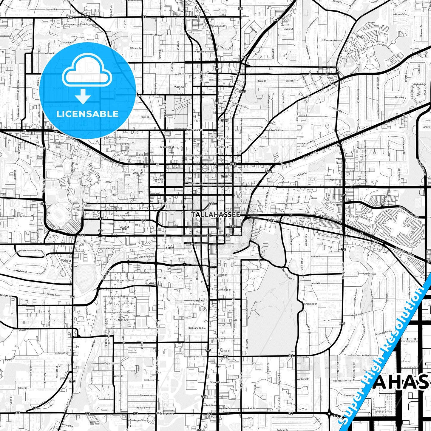 Tallahassee, Florida Light Map with Street Names, City Names, and Districts