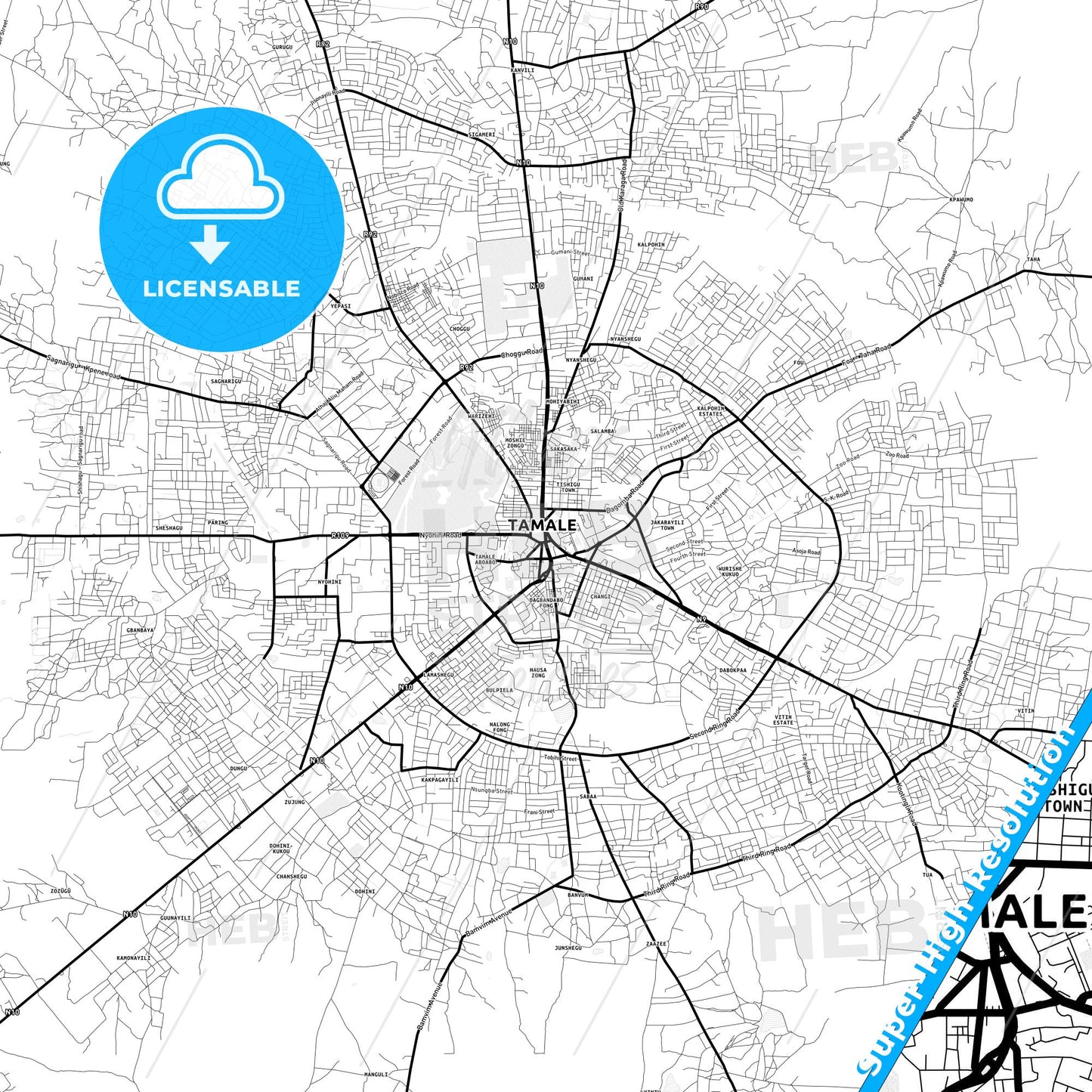 Tamale, Ghana Light Map with Street Names, City Names, and Districts
