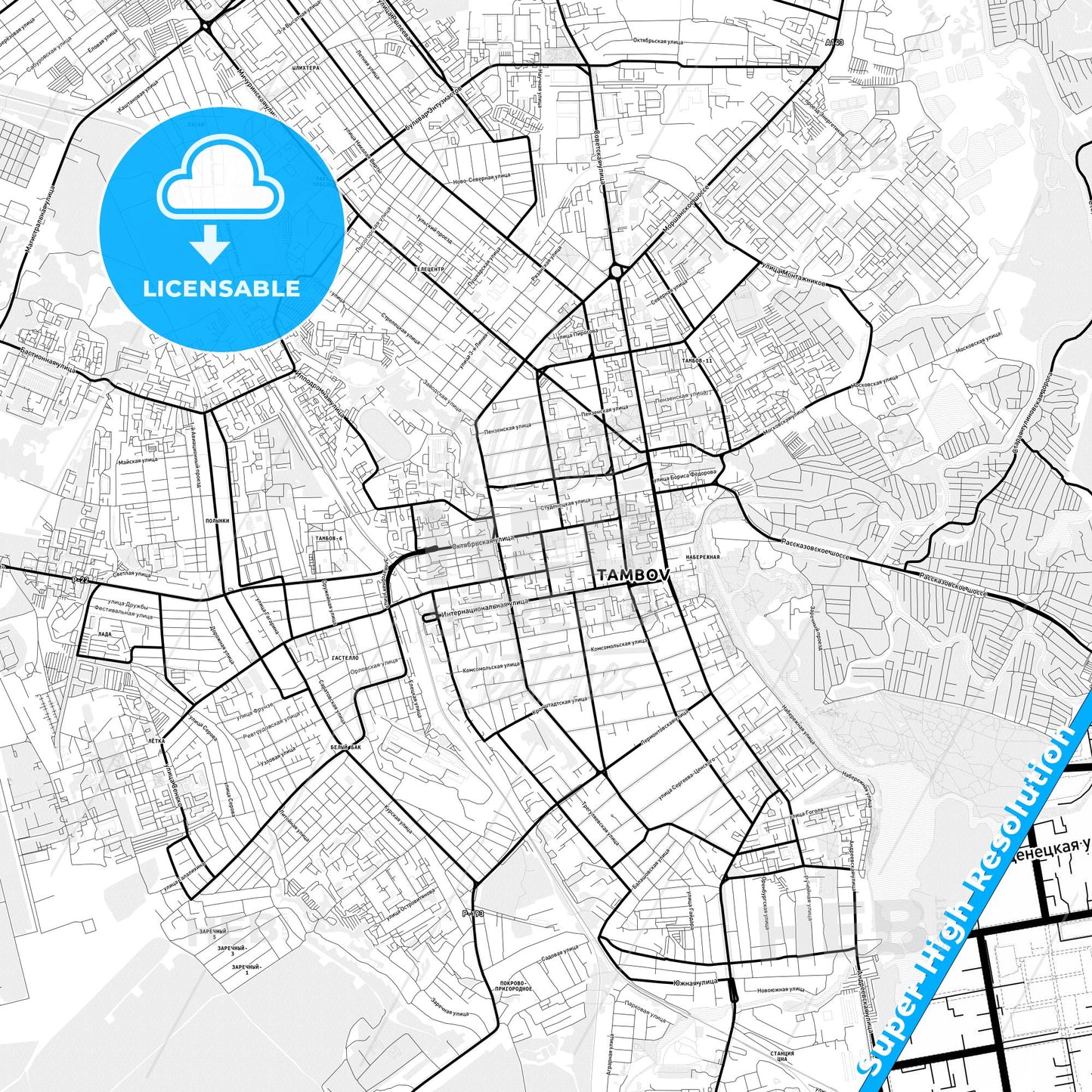Tambov, Russia Light Map with Street Names, City Names, and Districts
