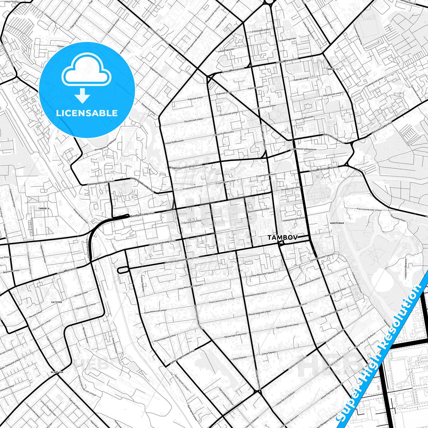 Tambov, Russia Light Map with Street Names, City Names, and Districts