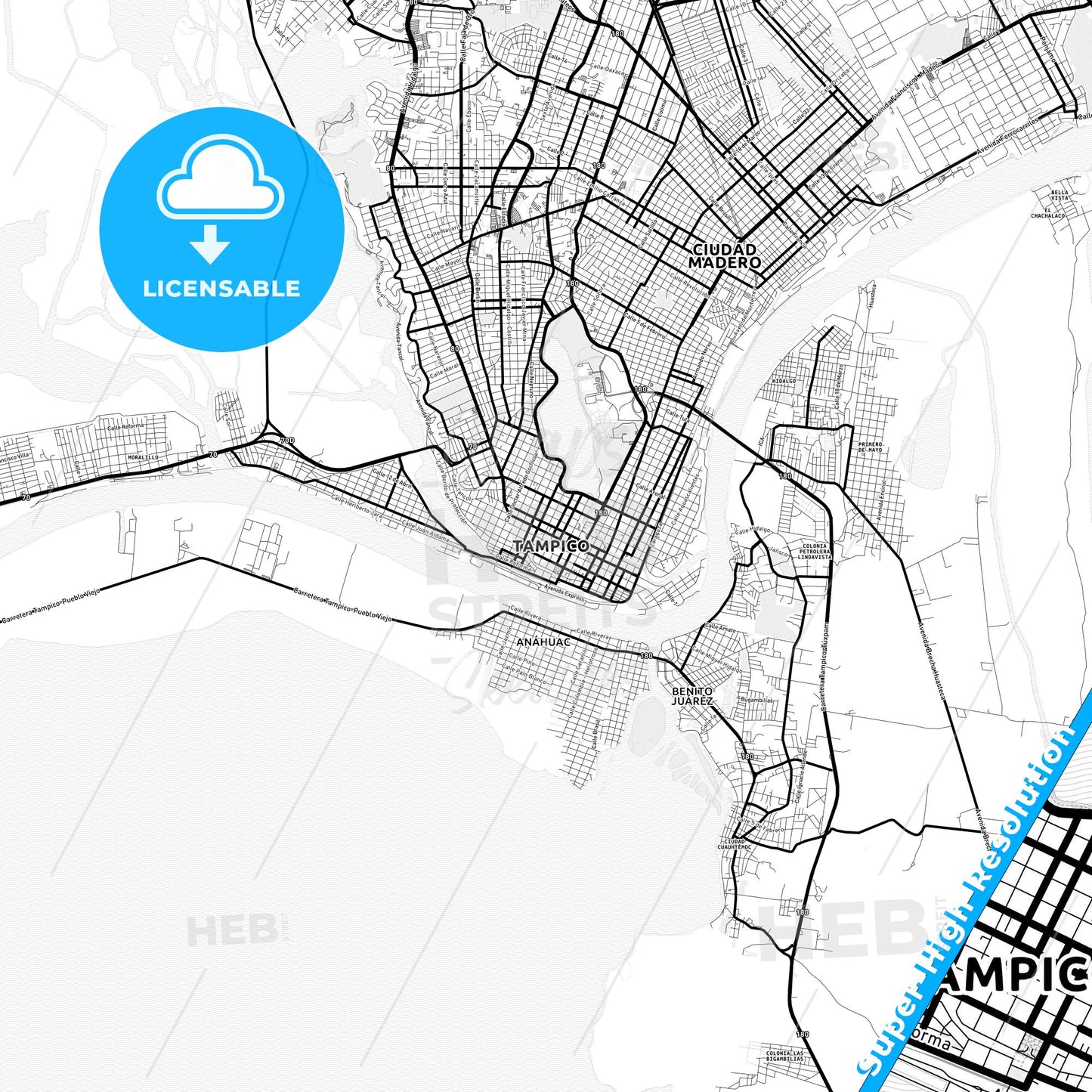 Tampico, Mexico Light Map with Street Names, City Names, and Districts