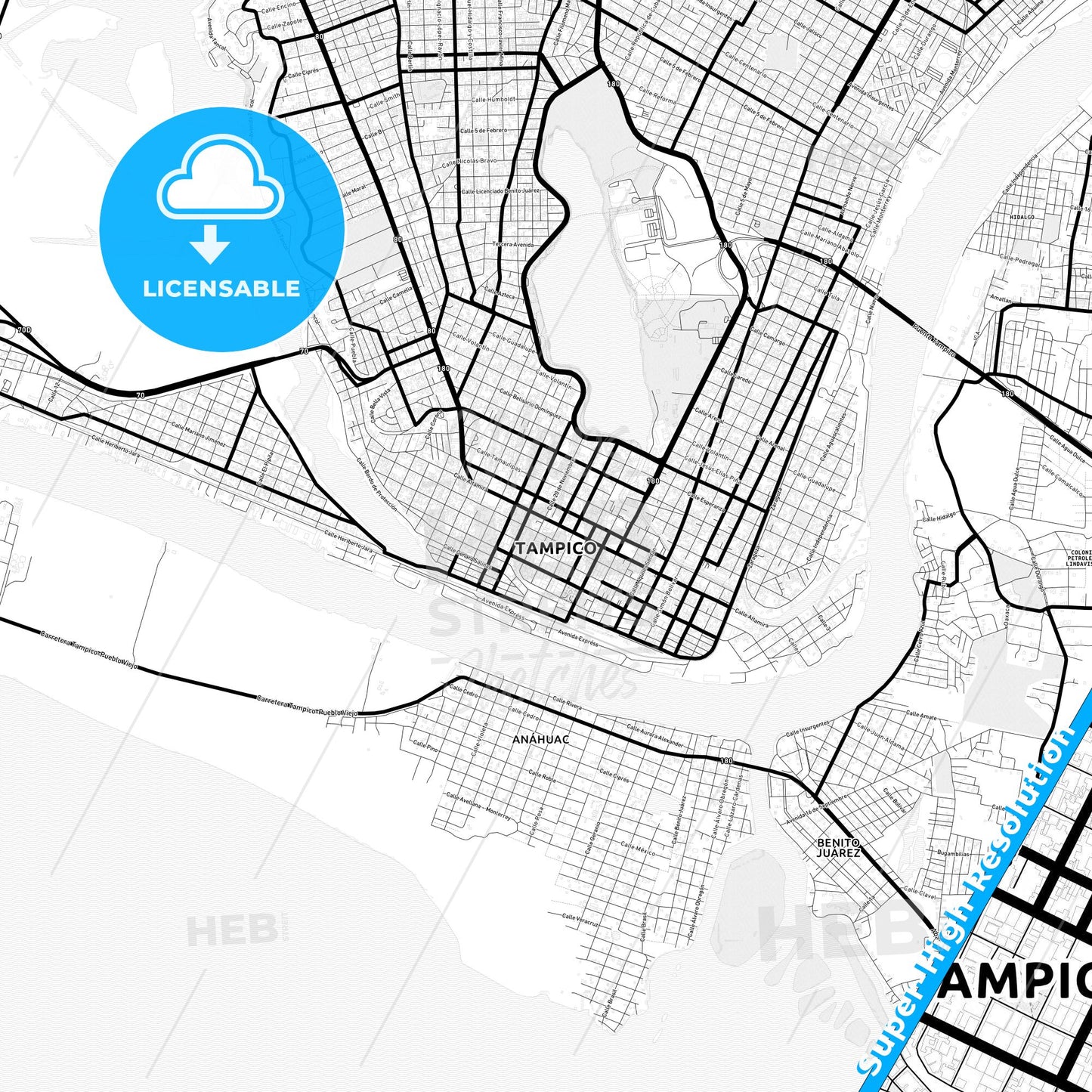 Tampico, Mexico Light Map with Street Names, City Names, and Districts