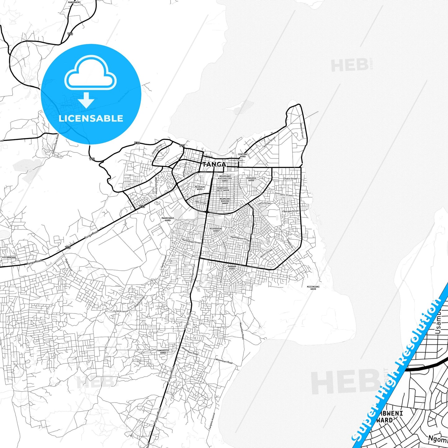 Tanga, Tanzania Light Map with Street Names, City Names, and Districts