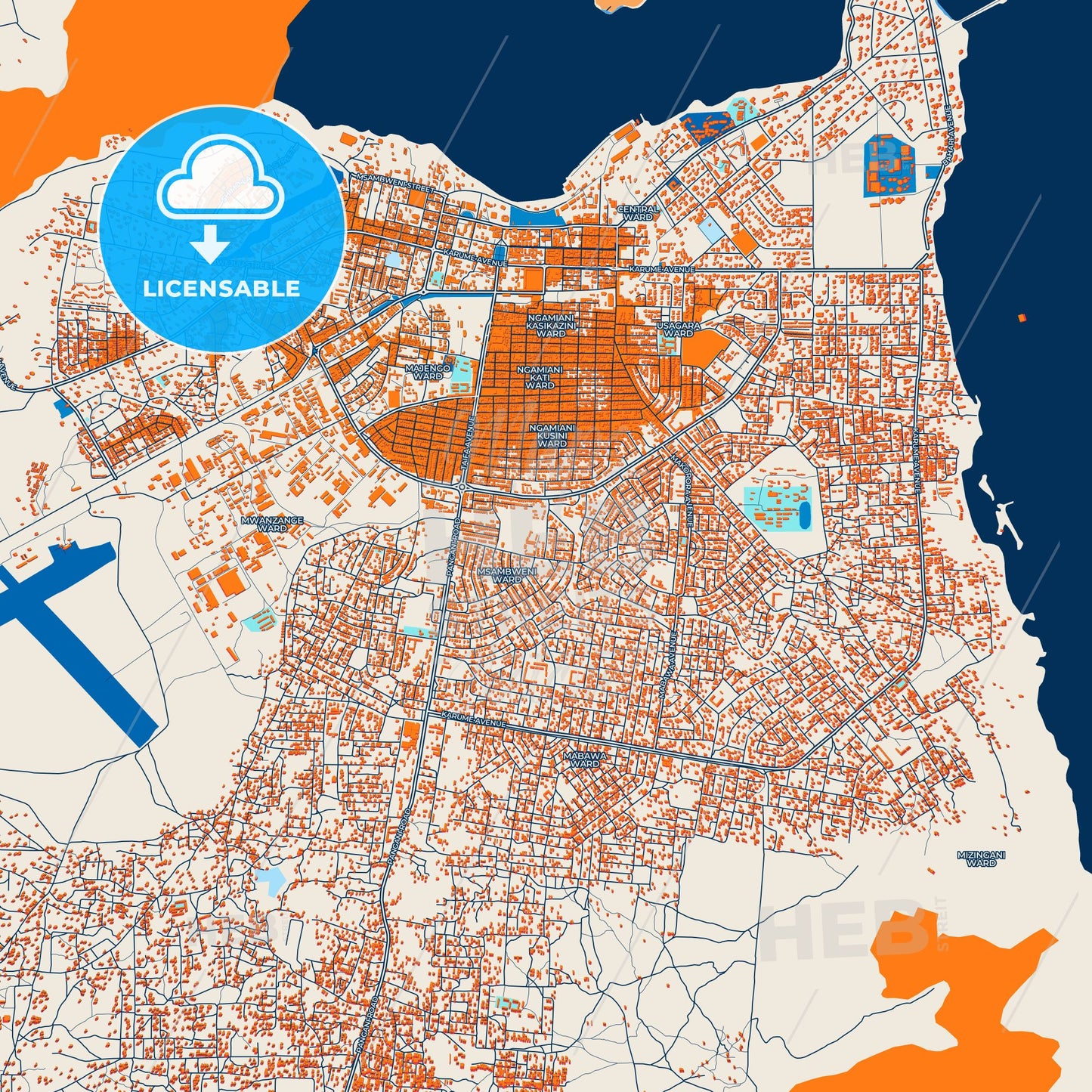 Colorful Tanga Street Map with Labels and Buildings
