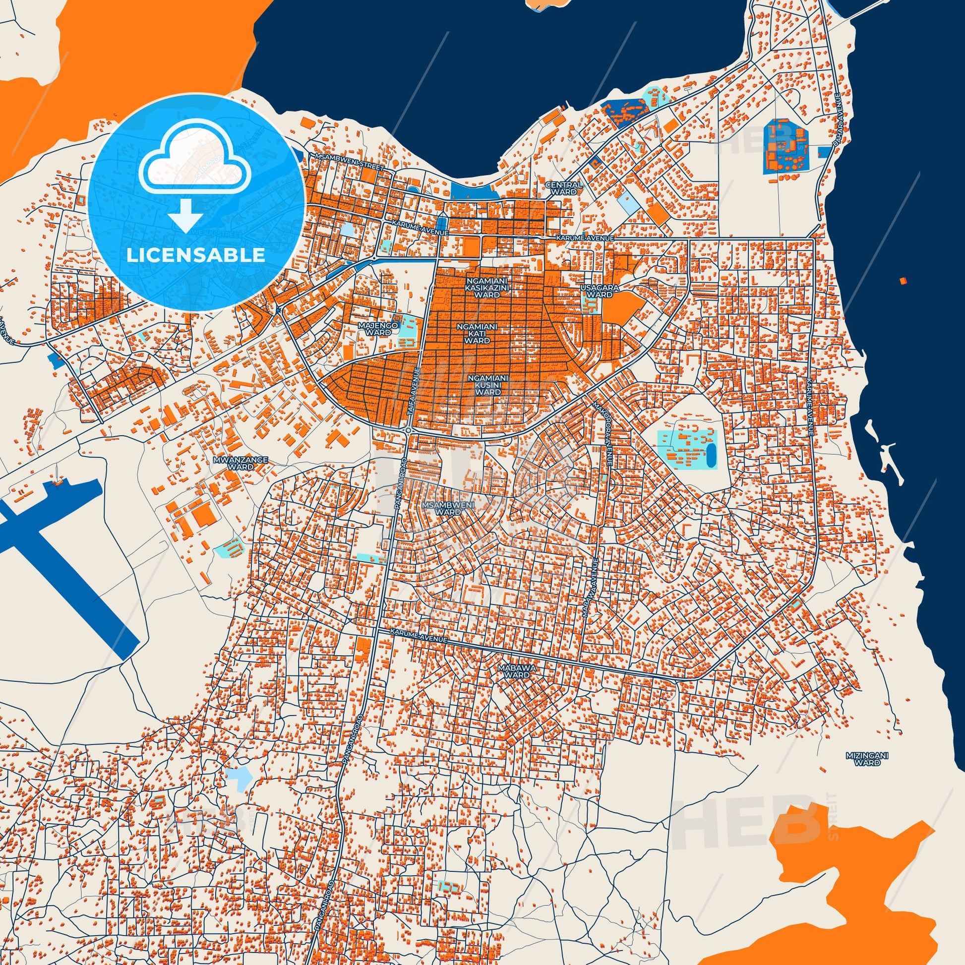 Colorful Tanga Street Map with Labels and Buildings