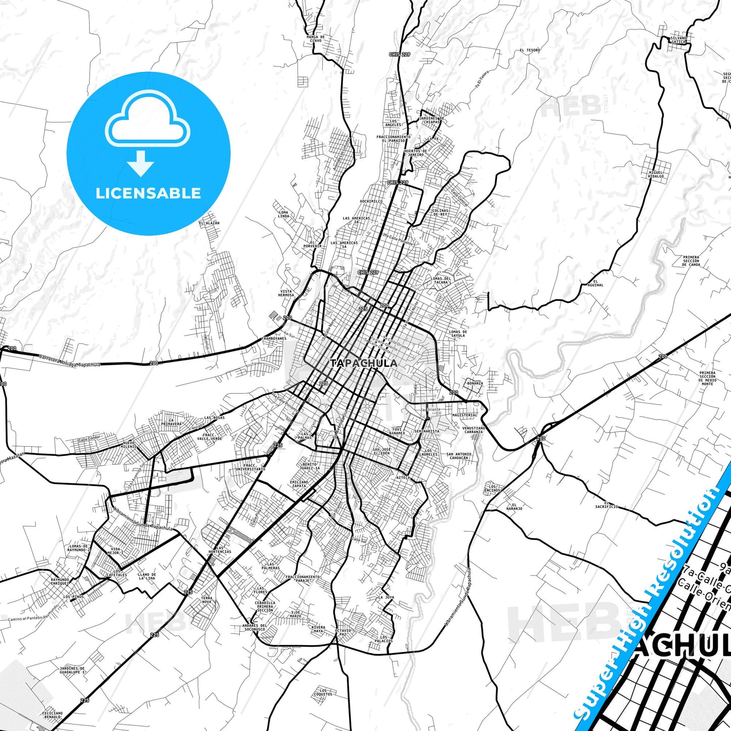 Tapachula, Mexico Light Map with Street Names, City Names, and Districts