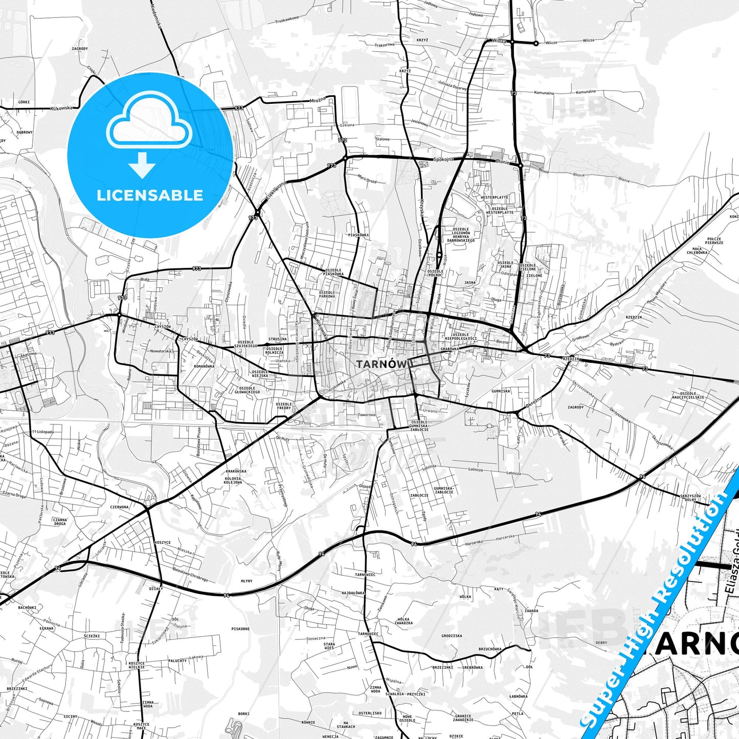 Tarnów, Poland Light Map with Street Names, City Names, and Districts