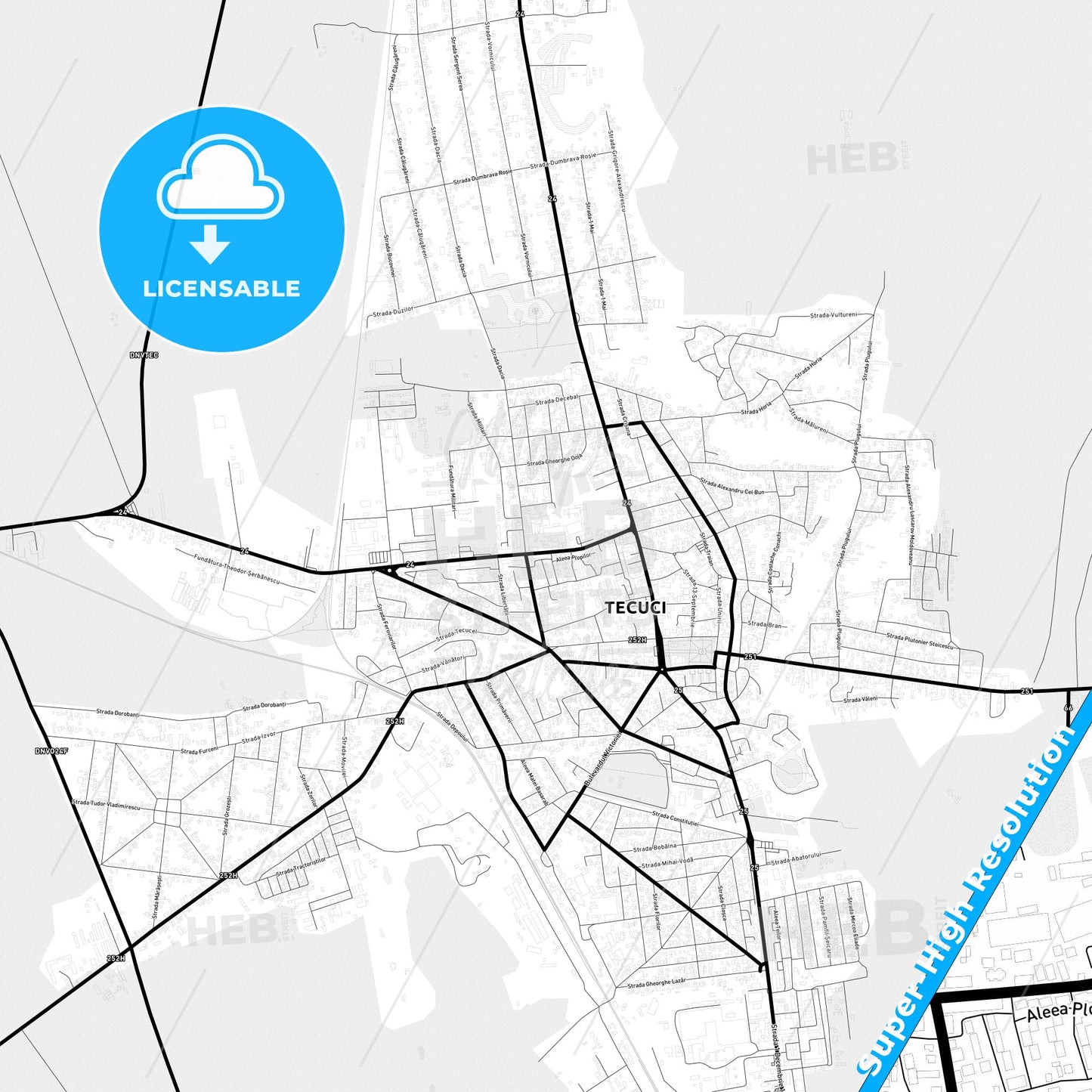 Tecuci, Romania Light Map with Street Names, City Names, and Districts