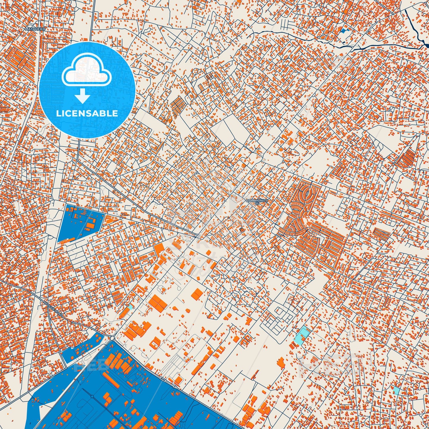 Colorful Tema Street Map with Labels and Buildings