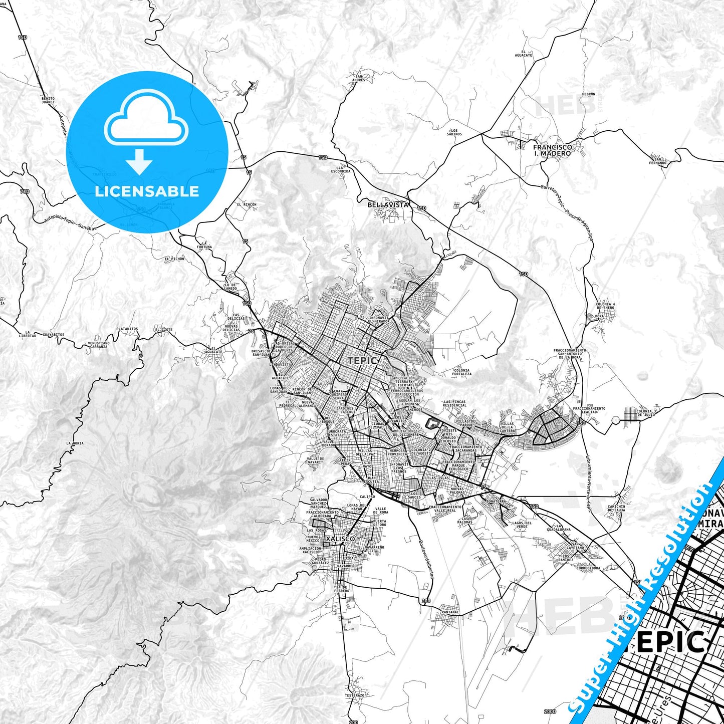 Tepic, Mexico light map with streetnames, citynames and districts